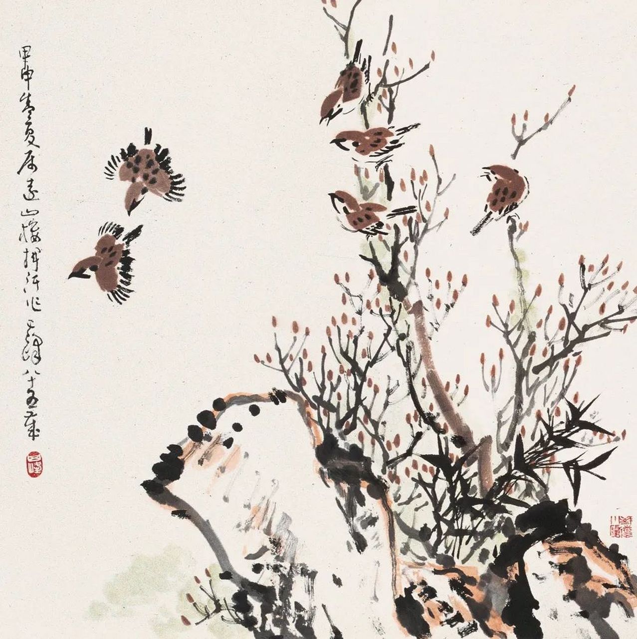 麻雀是益鸟还是害鸟(麻雀是益鸟还是害鸟?为什么?) 麻雀是益鸟还是害鸟(麻雀是益鸟还是害鸟?为什么?)