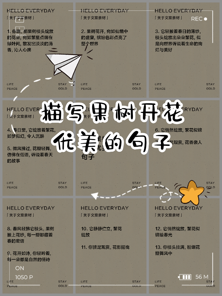 夸奖养花人的好词好句(夸奖养花人的好词好句大全) 夸奖养花人的好词好句(夸奖养花人的好词好句大全)