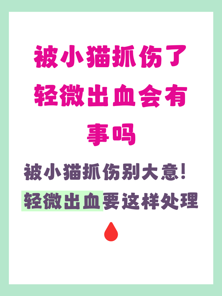 猫得狂犬病多久会死(猫患狂犬病后多久会死) 猫得狂犬病多久会死(猫患狂犬病后多久会死)
