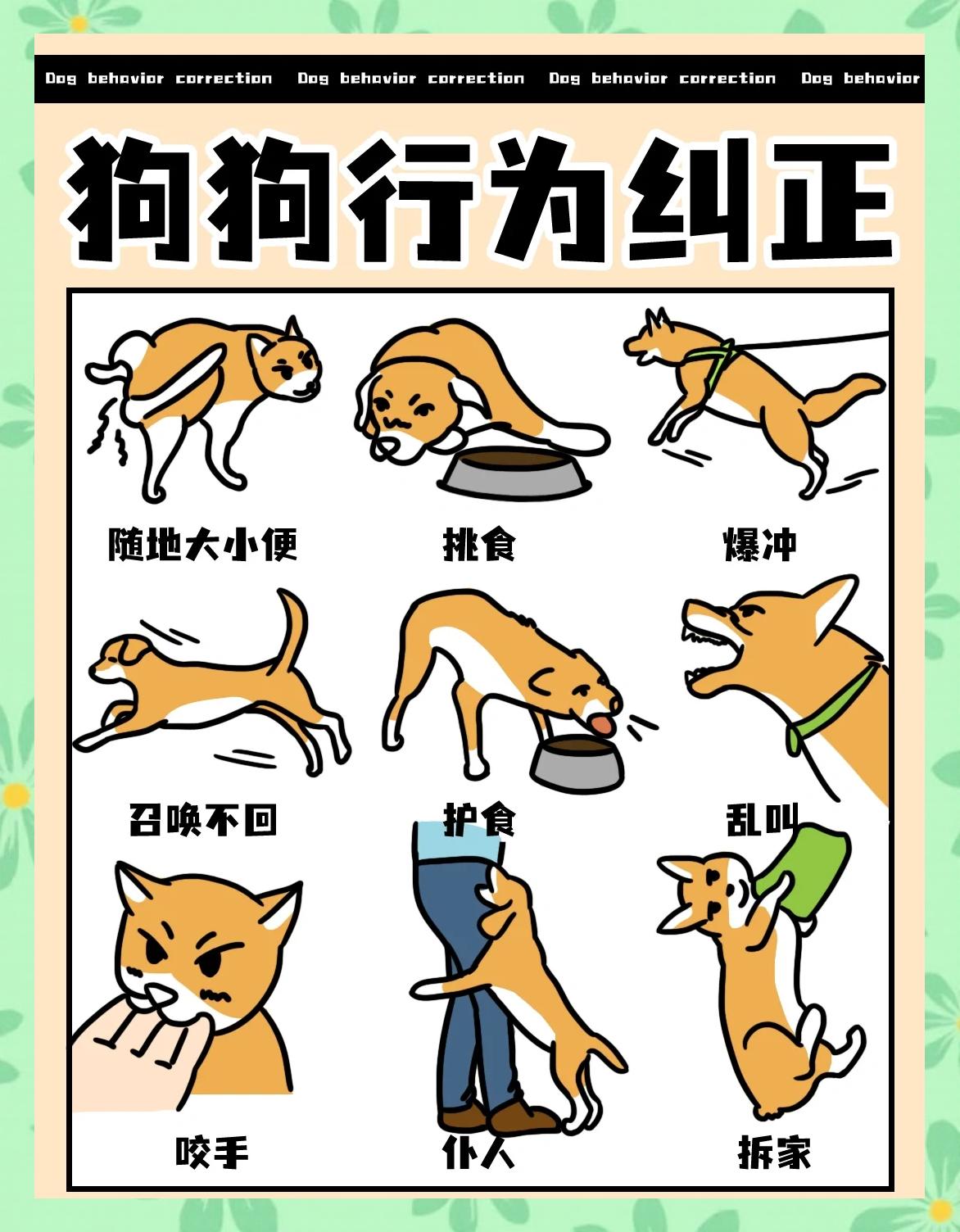 驱赶狗拉屎拉尿最有效方法(驱赶狗拉屎拉尿最有效方法是什么) 驱赶狗拉屎拉尿最有效方法(驱赶狗拉屎拉尿最有效方法是什么)