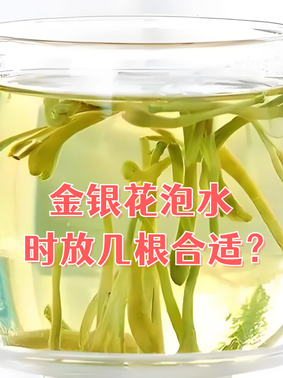 金莲花泡水喝竟有6个害处(金线莲价格多少钱一斤2024) 金莲花泡水喝竟有6个害处(金线莲价格多少钱一斤2024)