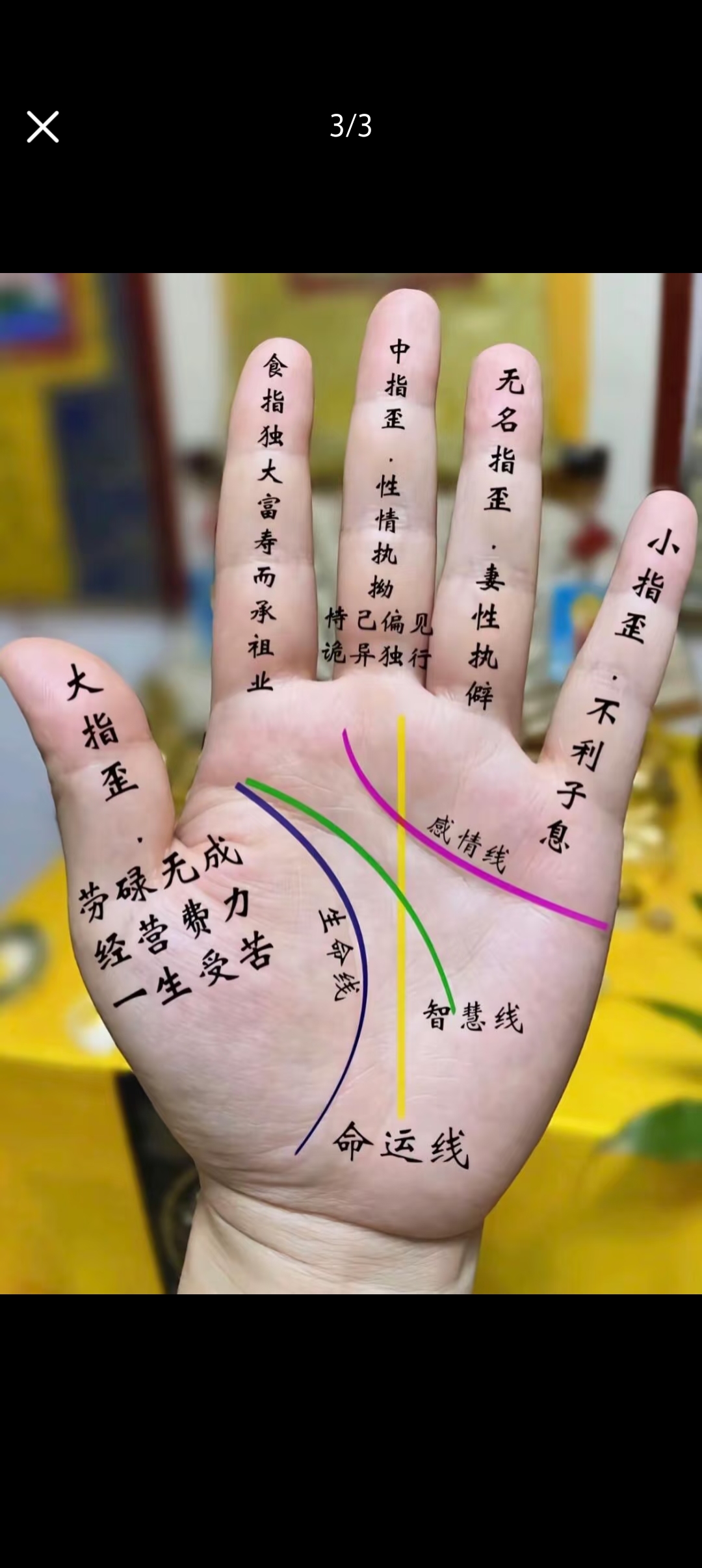 为什么假断掌要比真断掌要好(为什么假断掌要比真断掌要好呢) 为什么假断掌要比真断掌要好(为什么假断掌要比真断掌要好呢)