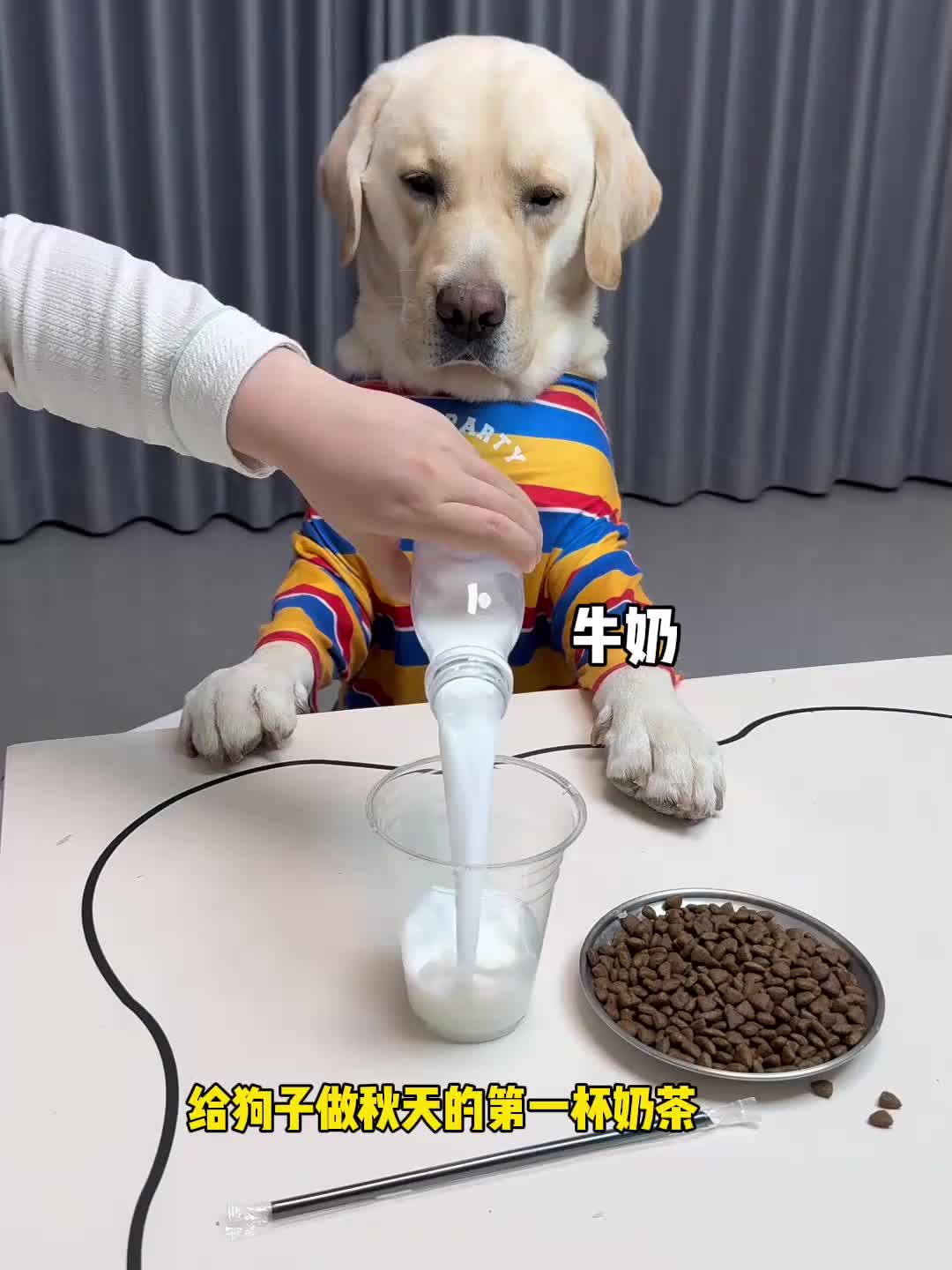 狗吃葡萄辟谣(狗吃葡萄有什么症状) 狗吃葡萄辟谣(狗吃葡萄有什么症状)