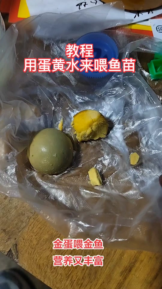 小金鱼吃什么(刚出生的小金鱼吃什么) 小金鱼吃什么(刚出生的小金鱼吃什么)