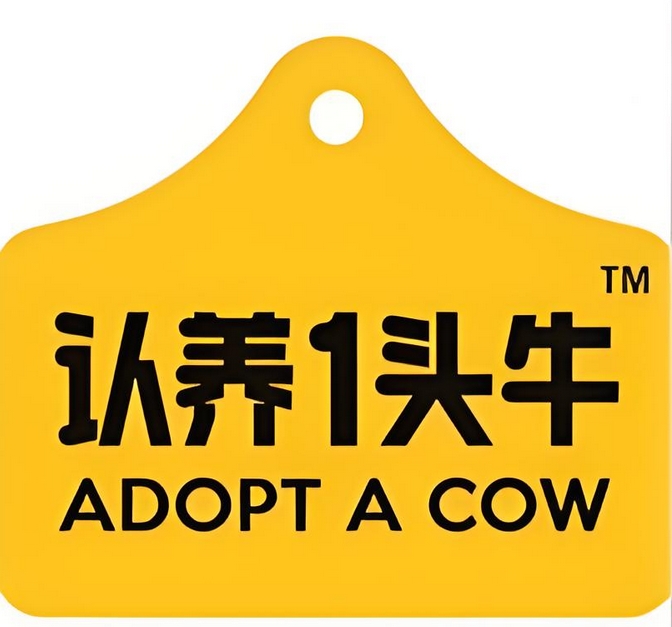 bull是什么意思(英语bull是什么意思)