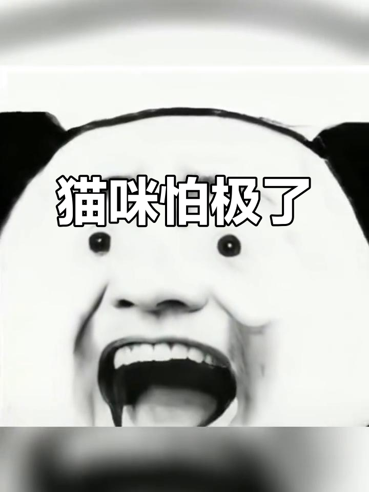 猫咪极度害怕的表现(猫咪极度害怕的表现有哪些) 猫咪极度害怕的表现(猫咪极度害怕的表现有哪些)