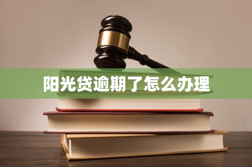 阳光贷款逾期被阳光起诉怎么办(阳光贷款逾期被阳光起诉怎么办理) 阳光贷款逾期被阳光起诉怎么办(阳光贷款逾期被阳光起诉怎么办理)