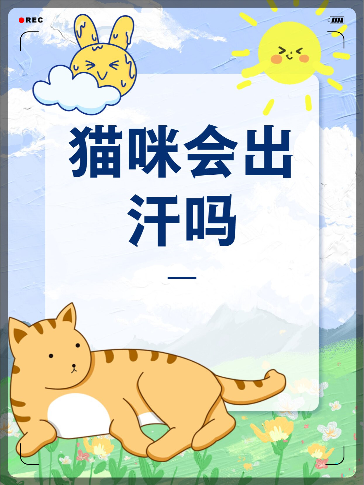 猫的汗腺在哪里(猫的汗腺在什么部位) 猫的汗腺在哪里(猫的汗腺在什么部位)