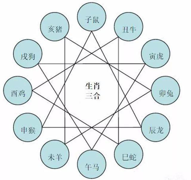 鸡鼠生肖合不合(鸡鼠生肖合不合做生意) 鸡鼠生肖合不合(鸡鼠生肖合不合做生意)