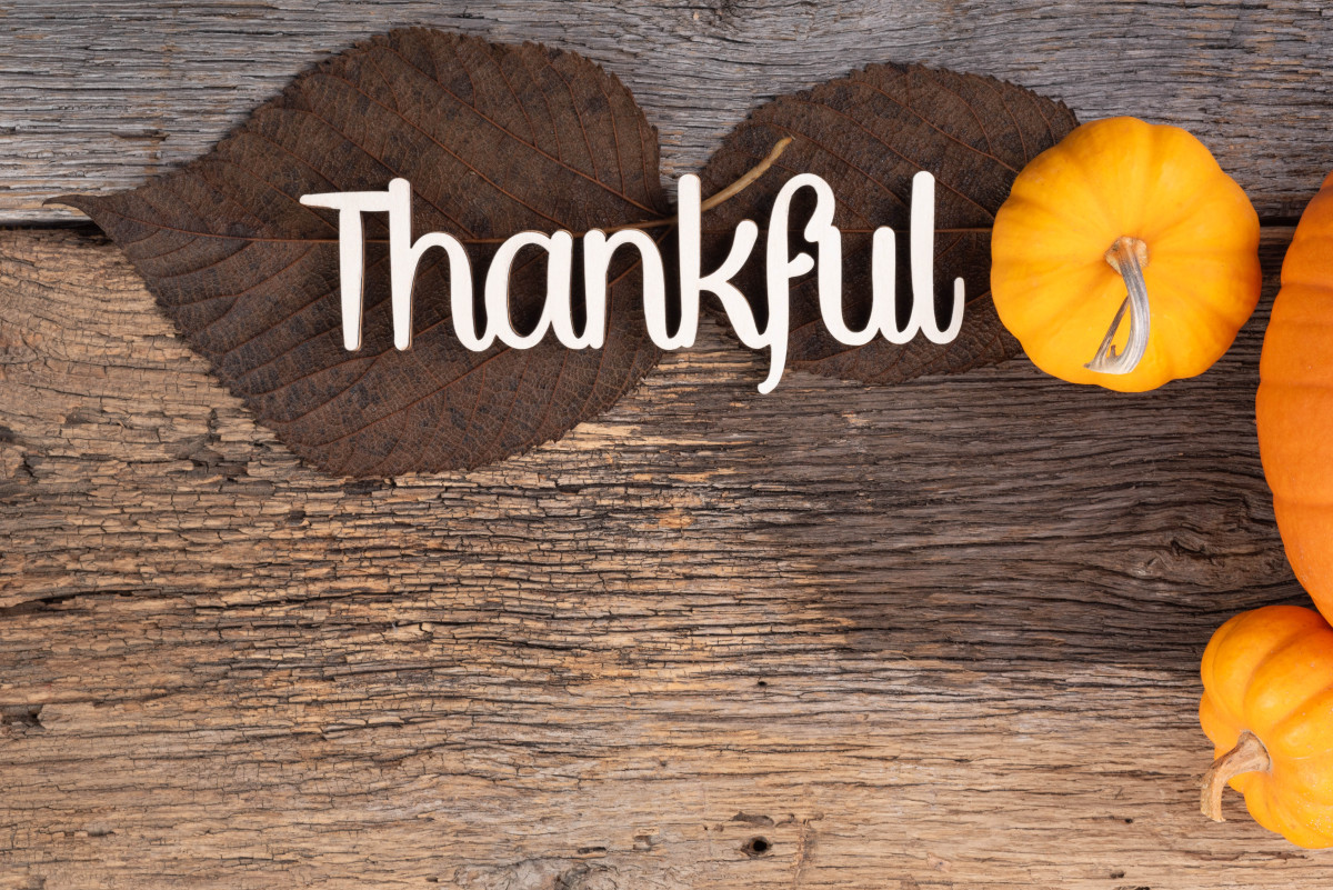 thanks是什么意思英语(thanks是什么意思英语怎么说) thanks是什么意思英语(thanks是什么意思英语怎么说)