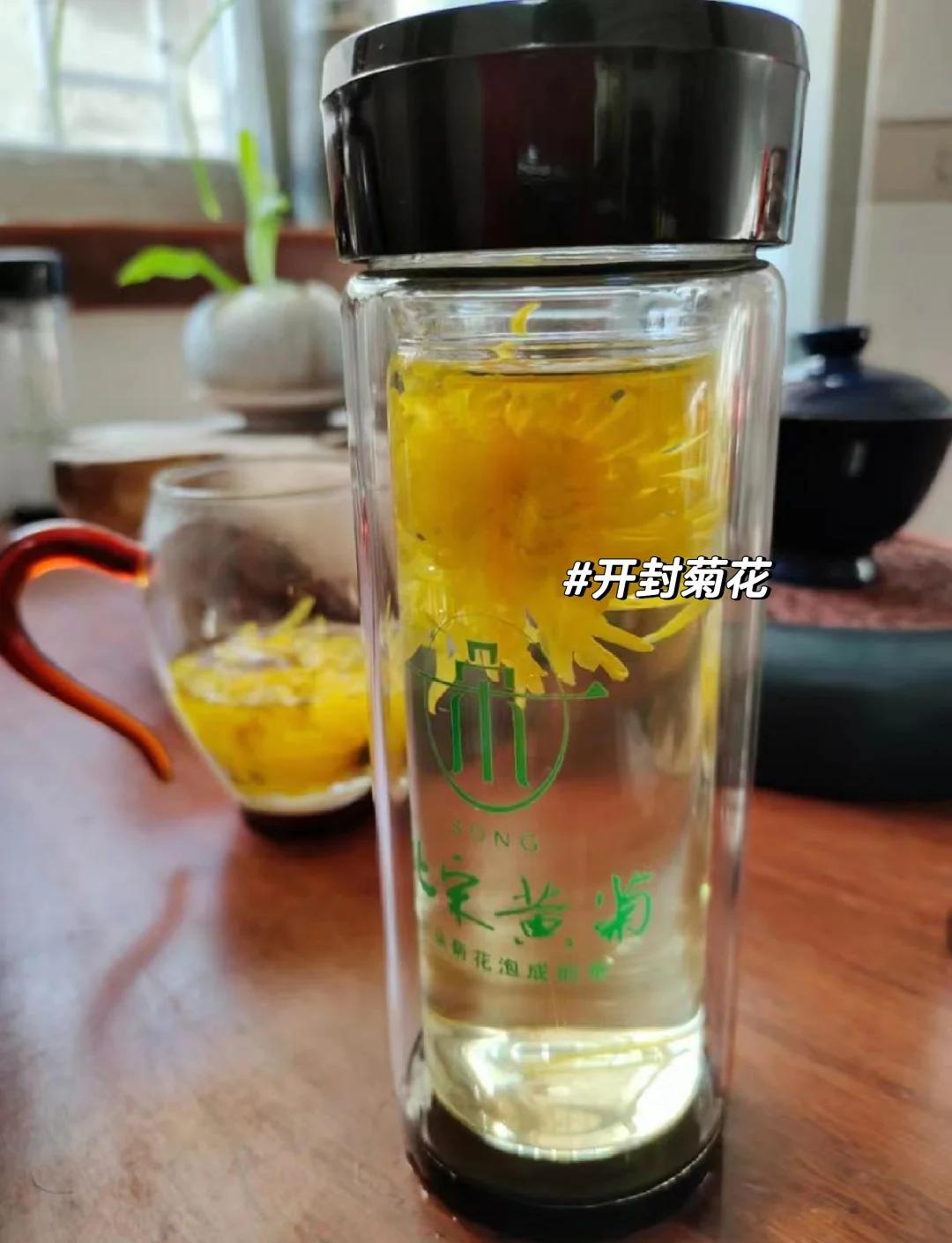 金丝皇菊的功效与作用及禁忌(金丝皇菊的功效金丝皇菊的功效) 金丝皇菊的功效与作用及禁忌(金丝皇菊的功效金丝皇菊的功效)