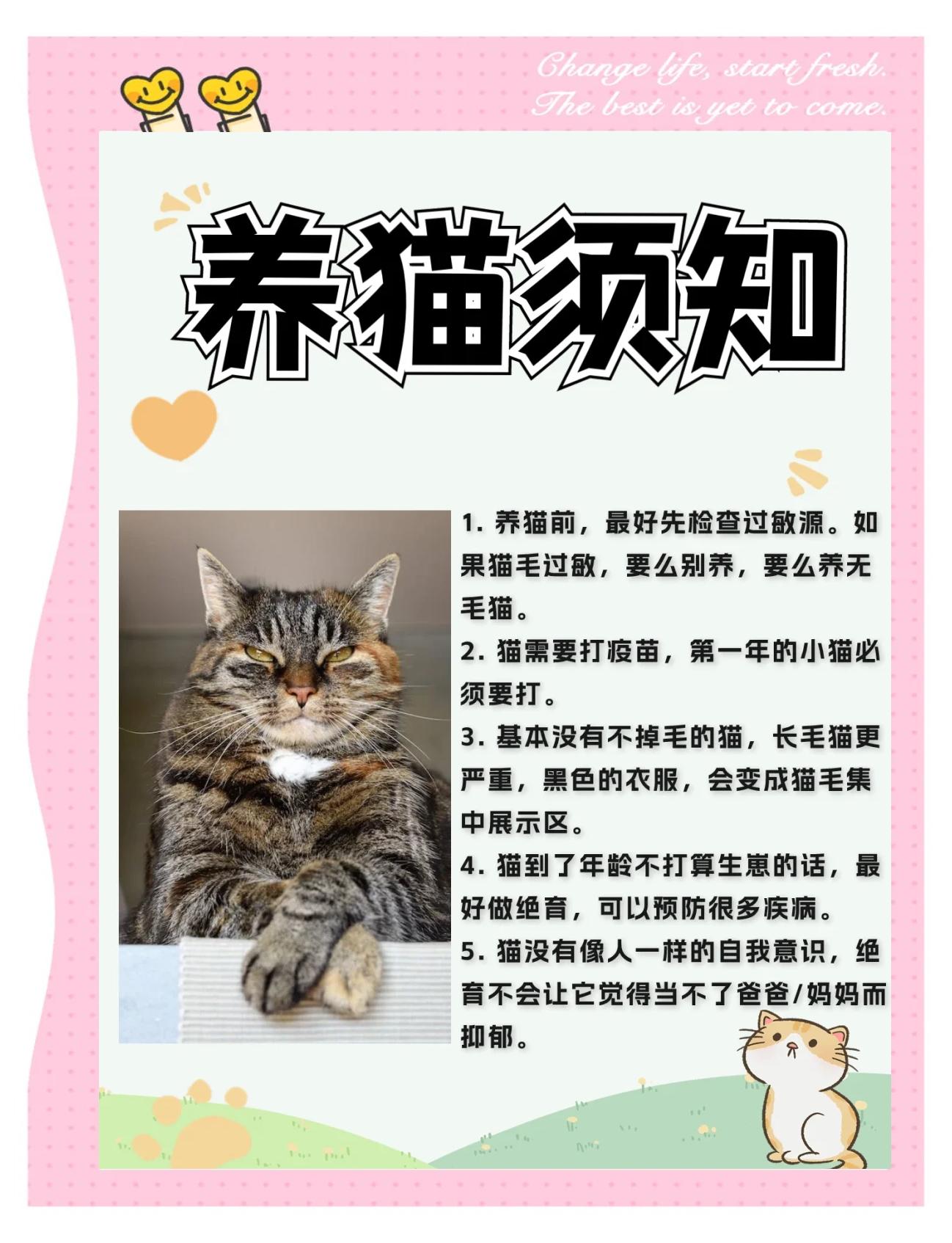 宠物知识(宠物知识小课堂) 宠物知识(宠物知识小课堂)