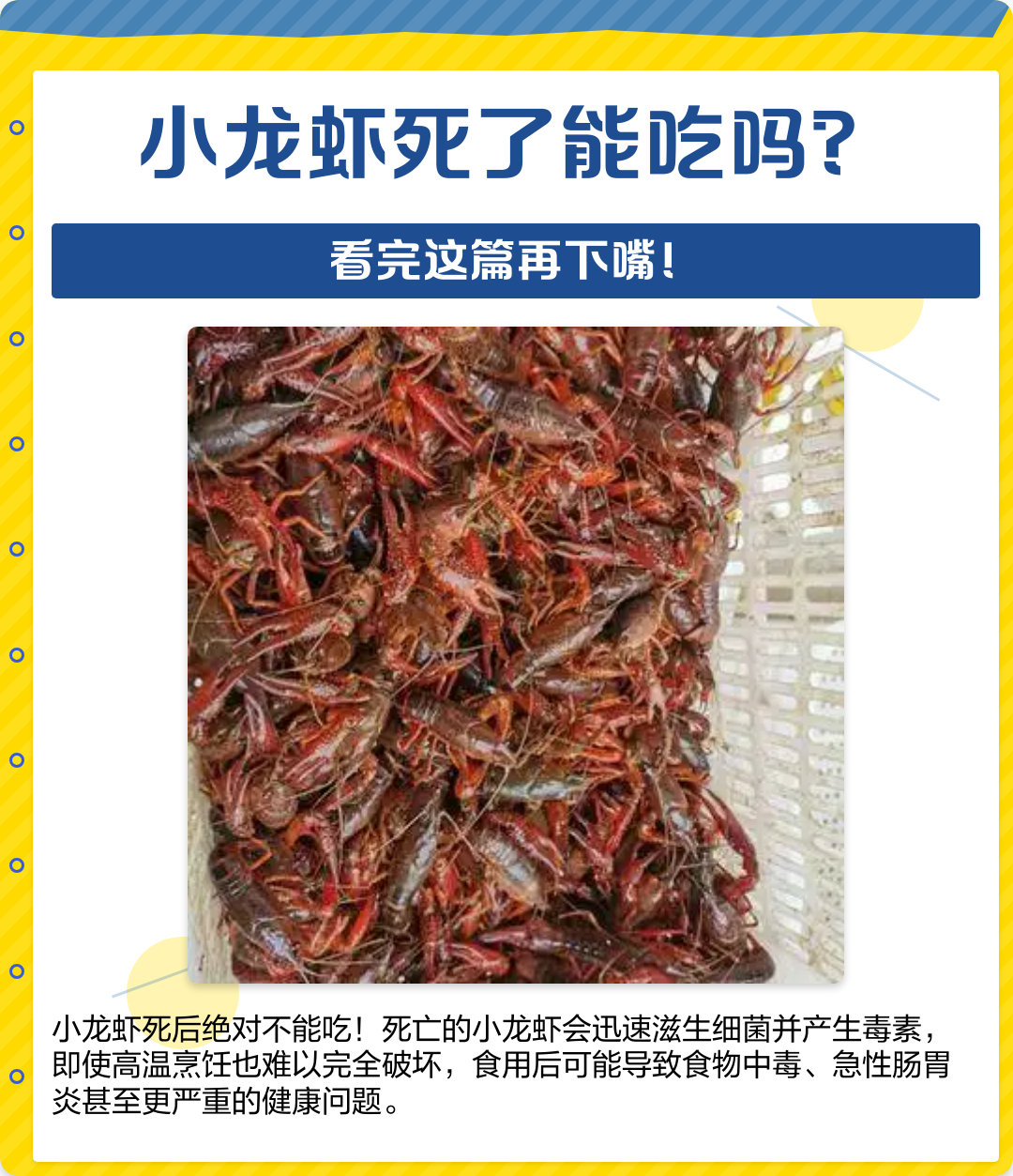 狗能吃小龙虾吗(狗能吃小龙虾吗有毒吗) 狗能吃小龙虾吗(狗能吃小龙虾吗有毒吗)
