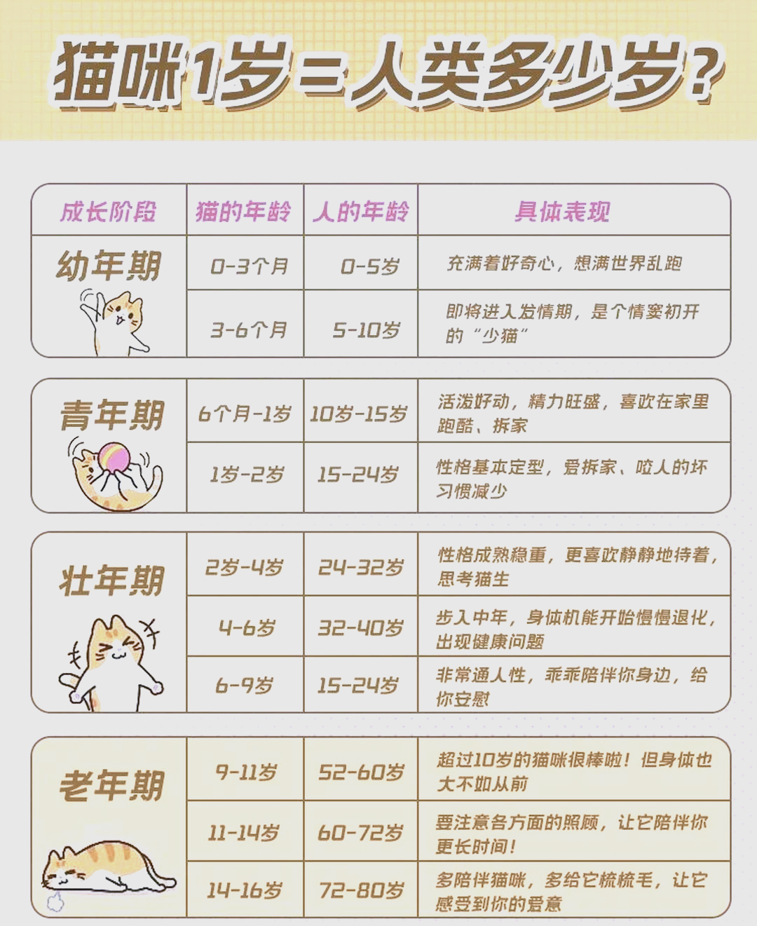 猫的怀孕周期(怎么确定母猫怀孕了) 猫的怀孕周期(怎么确定母猫怀孕了)