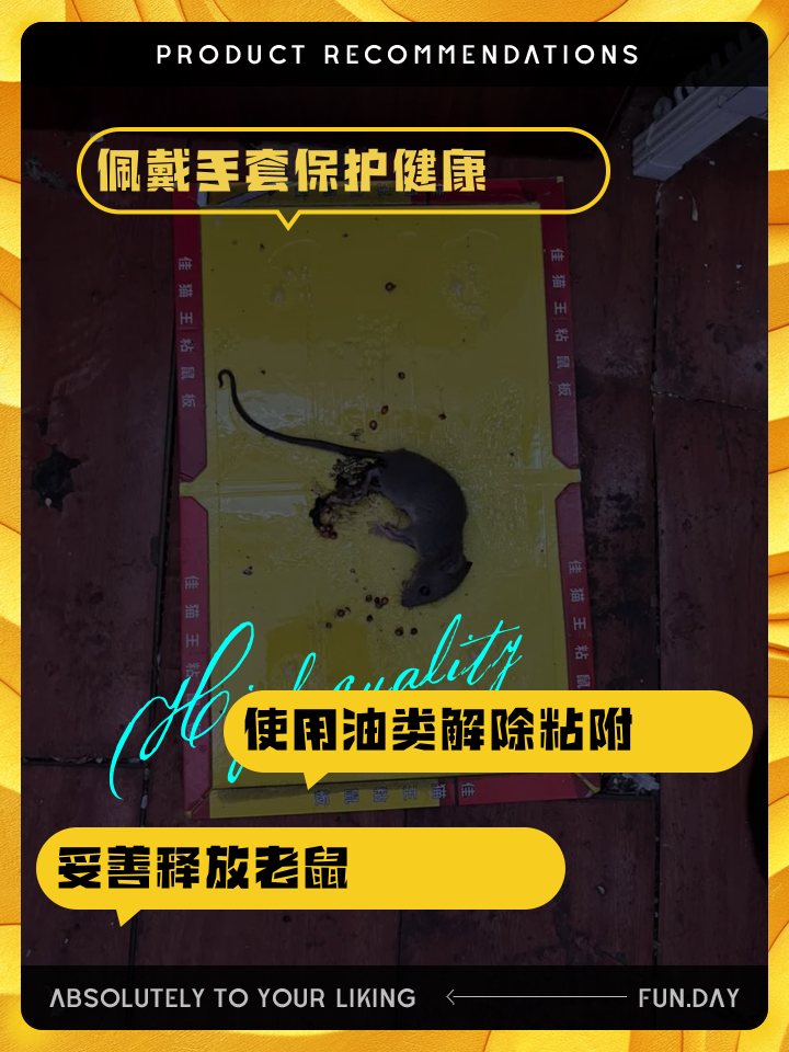 粘鼠板的胶粘到猫咪身上怎么去除(粘鼠板的胶粘到猫咪身上怎么去除掉) 粘鼠板的胶粘到猫咪身上怎么去除(粘鼠板的胶粘到猫咪身上怎么去除掉)