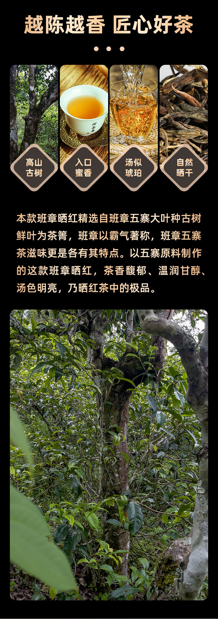 古树晒红是什么茶(晒红是生茶还是熟茶)