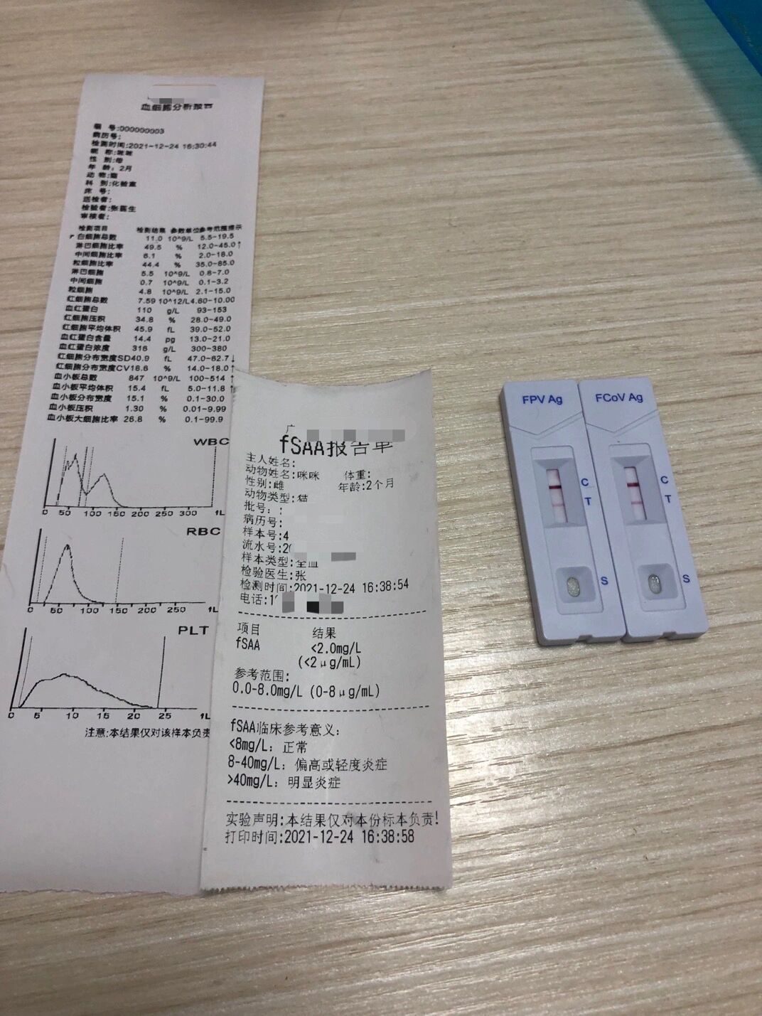 猫瘟试纸怎么用(猫瘟试纸用唾液测量准吗) 猫瘟试纸怎么用(猫瘟试纸用唾液测量准吗)