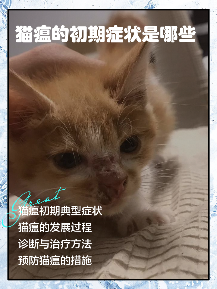猫瘟试纸怎么用(猫瘟试纸用唾液测量准吗) 猫瘟试纸怎么用(猫瘟试纸用唾液测量准吗)