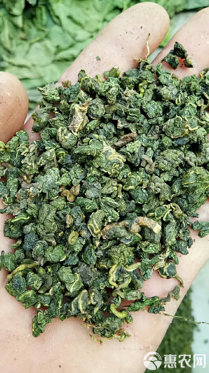 桑叶茶又叫短命茶(长期喝桑叶茶对身体好还是坏) 桑叶茶又叫短命茶(长期喝桑叶茶对身体好还是坏)