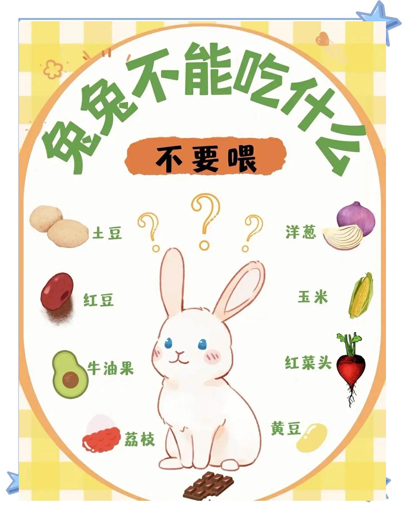 兔子能吃苹果吗(兔子能吃苹果吗,会不会拉,死了) 兔子能吃苹果吗(兔子能吃苹果吗,会不会拉,死了)