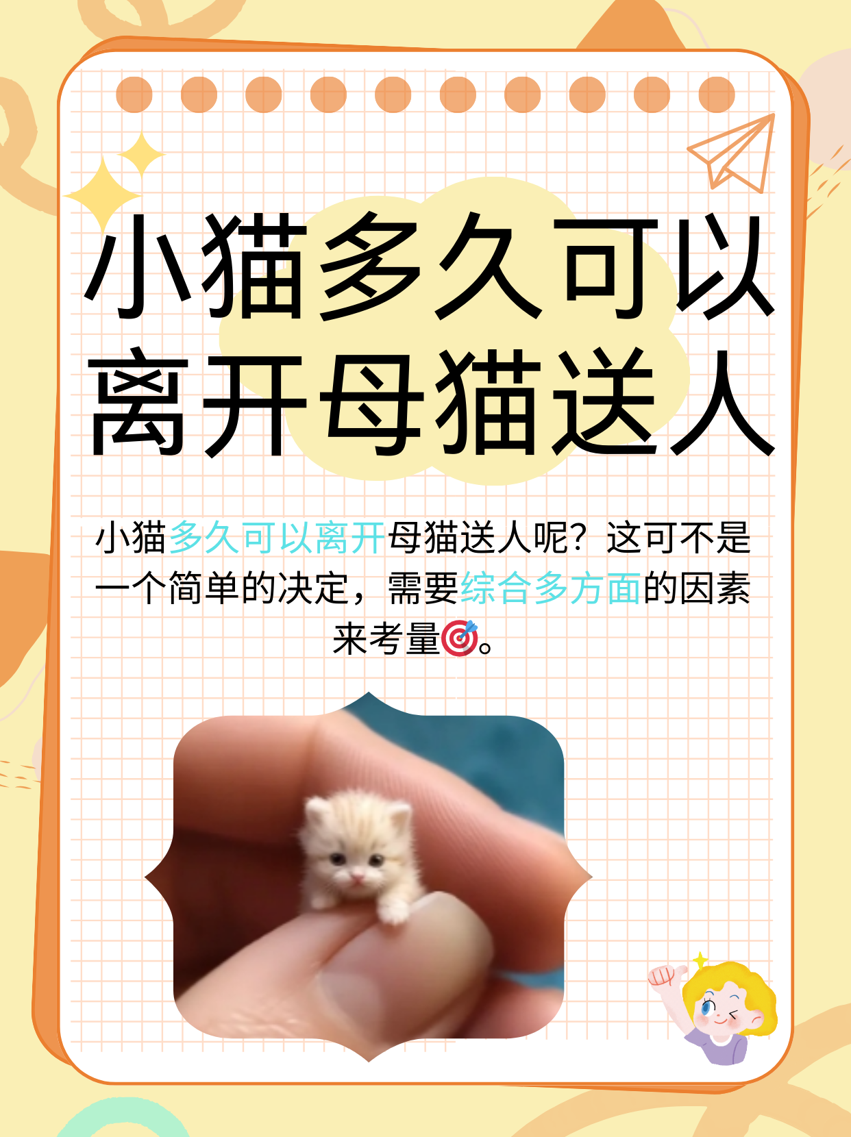 猫生小猫前提示主人(猫咪生产用纸箱好还是猫窝好) 猫生小猫前提示主人(猫咪生产用纸箱好还是猫窝好)