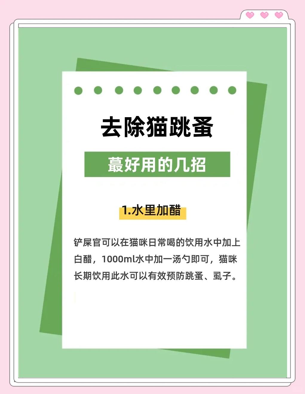 猫虱子跳到人身上怎么办(猫虱子跳到人身上怎么办图片) 猫虱子跳到人身上怎么办(猫虱子跳到人身上怎么办图片)