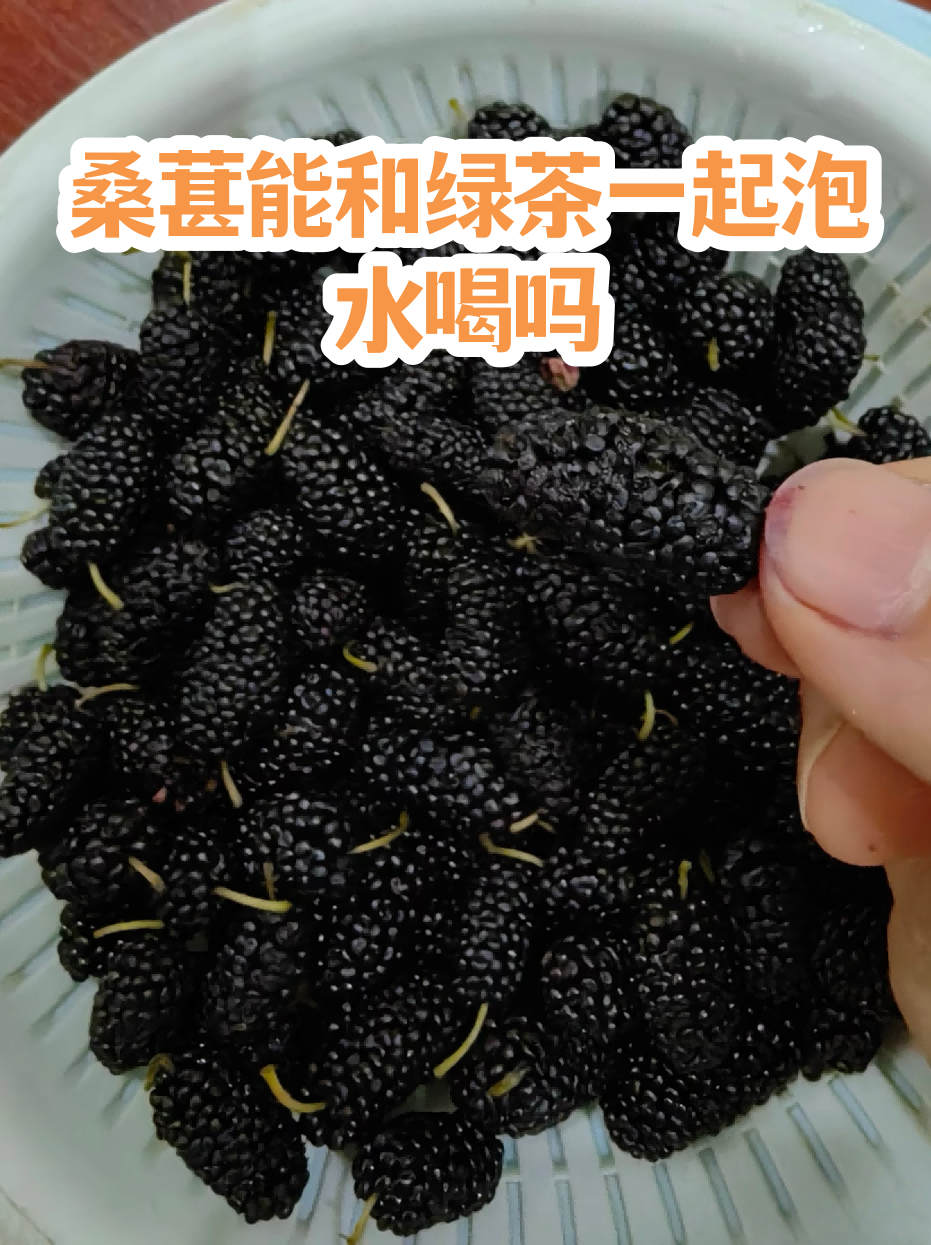 减肥期间可以喝桑葚干泡的水吗(减肥期间可以喝桑葚干泡的水吗会胖吗) 减肥期间可以喝桑葚干泡的水吗(减肥期间可以喝桑葚干泡的水吗会胖吗)