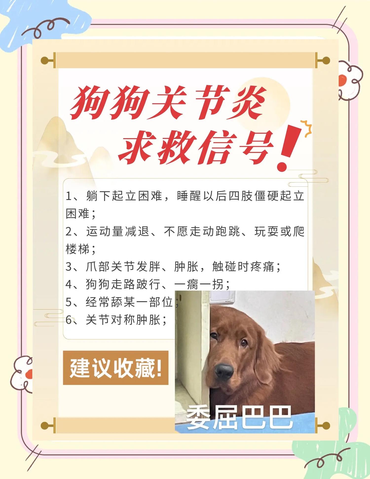 狗狗什么表现说明冷了(狗狗冷不冷看狗狗哪里知道) 狗狗什么表现说明冷了(狗狗冷不冷看狗狗哪里知道)