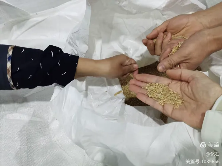 两千斤是一吨吗(2000斤是一吨吗?) 两千斤是一吨吗(2000斤是一吨吗?)