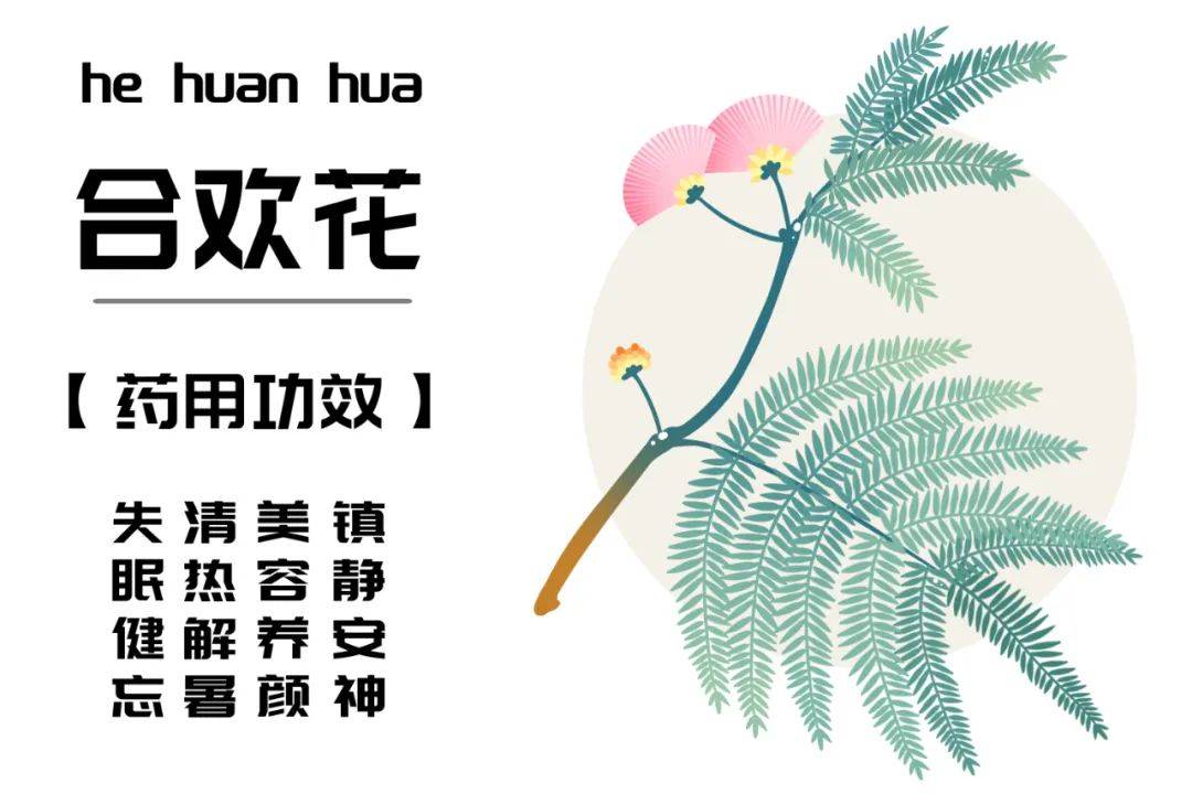 合欢花和合欢皮的区别和功效?(合欢花与合欢皮的功效与作用及禁忌) 合欢花和合欢皮的区别和功效?(合欢花与合欢皮的功效与作用及禁忌)