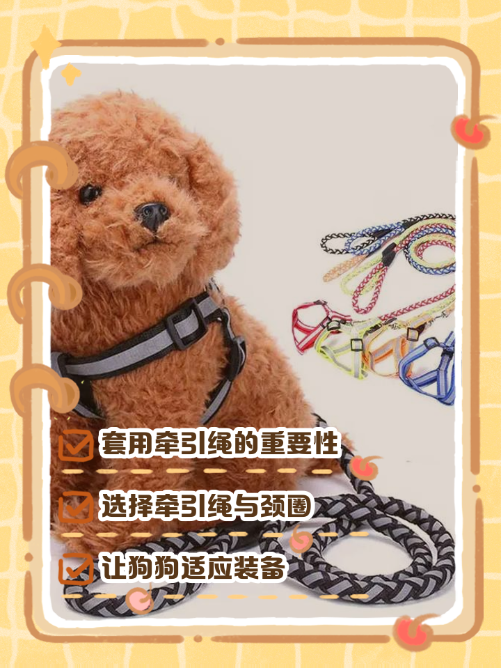 土方法给狗狗避孕(狗避孕最简单的方法) 土方法给狗狗避孕(狗避孕最简单的方法)