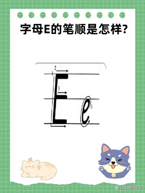 字母上面一横怎么打出来(字母上面一横杠代表着什么)