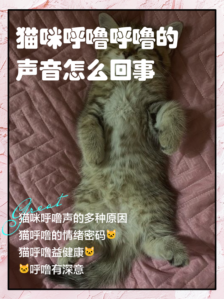 猫咪睡觉流口水是什么原因(猫咪睡觉流口水是什么原因?) 猫咪睡觉流口水是什么原因(猫咪睡觉流口水是什么原因?)