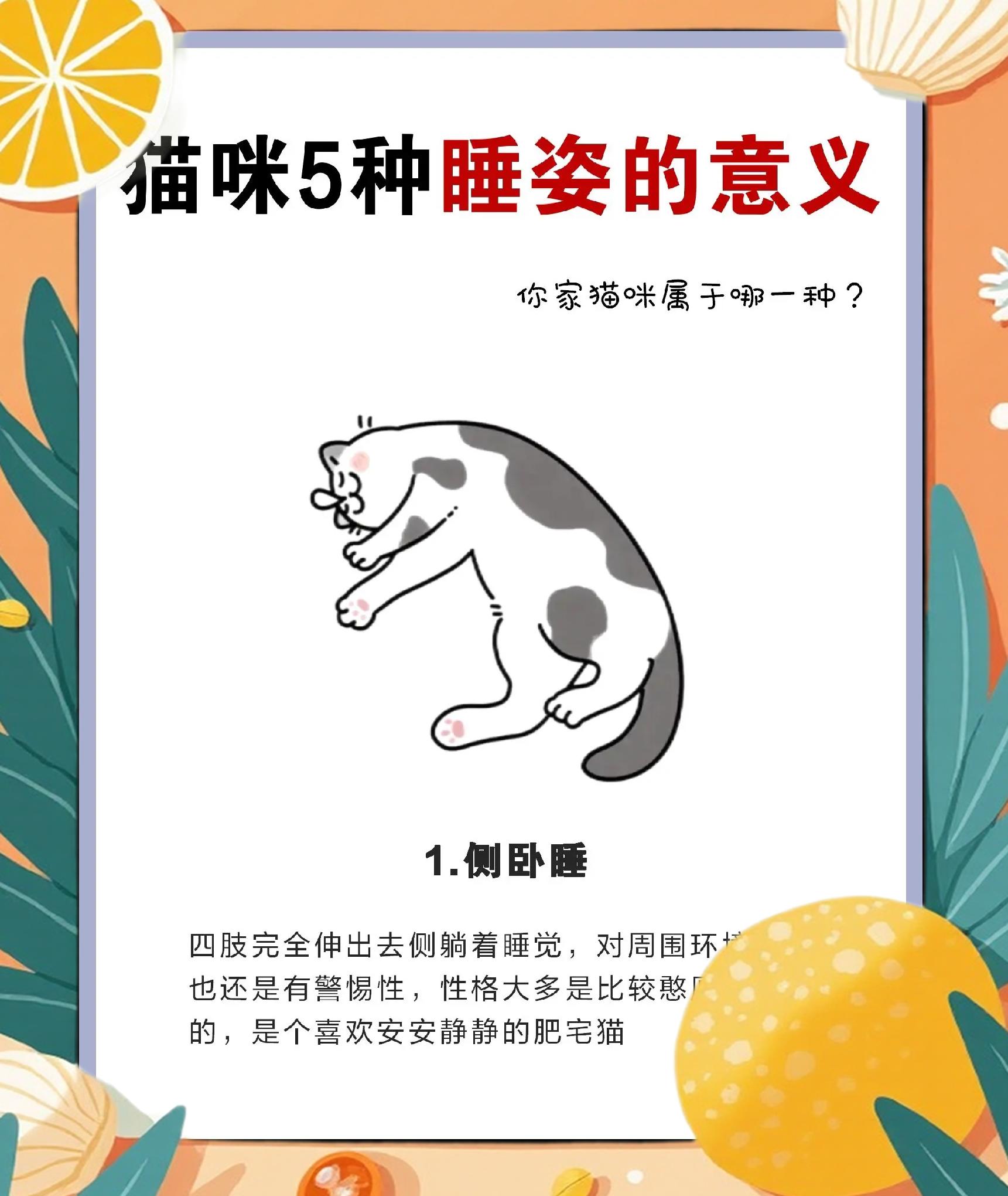 猫咪睡觉流口水是什么原因(猫咪睡觉流口水是什么原因?) 猫咪睡觉流口水是什么原因(猫咪睡觉流口水是什么原因?)