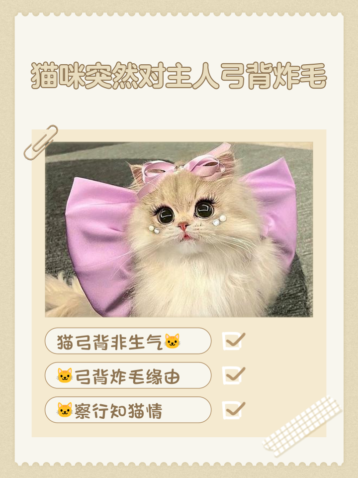 猫咪弓腰竖尾巴蹭人(猫咪弓腰竖尾巴蹭人怎么回事) 猫咪弓腰竖尾巴蹭人(猫咪弓腰竖尾巴蹭人怎么回事)