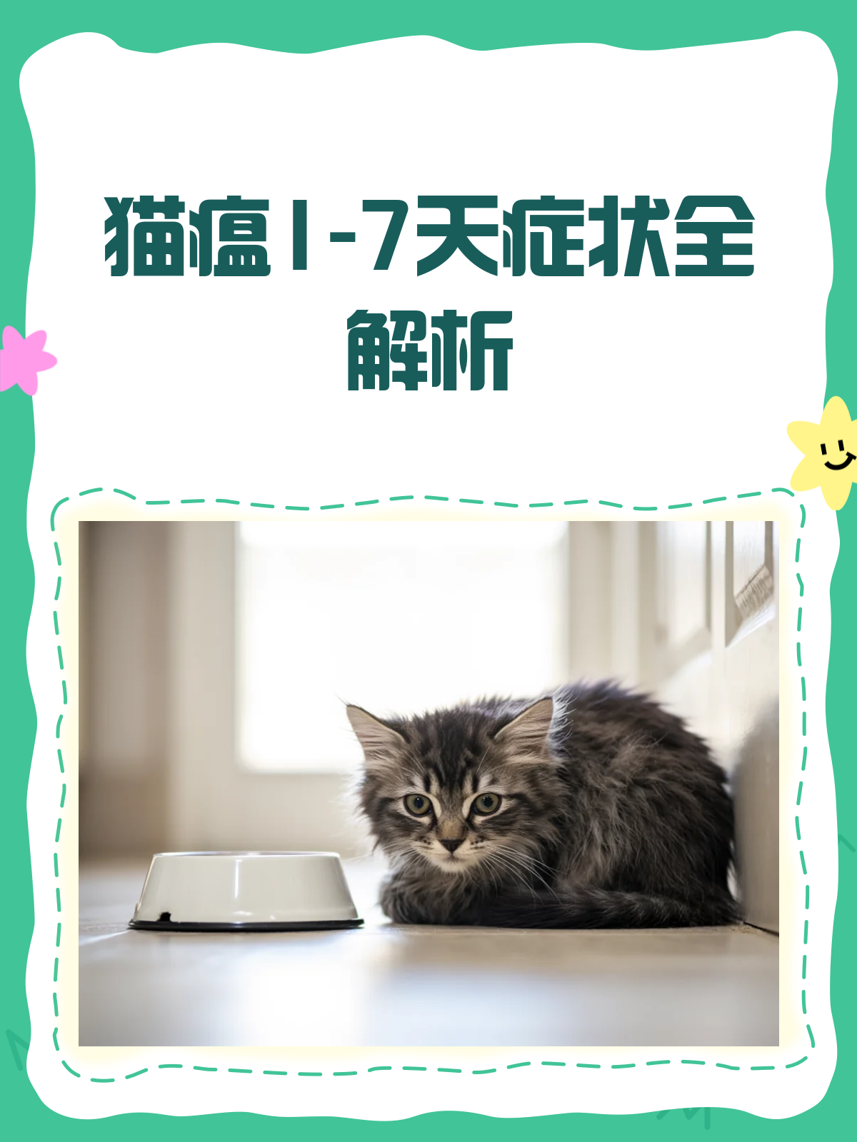 家养猫咪有狂犬病毒吗(家养猫有狂犬病的几率有多大)