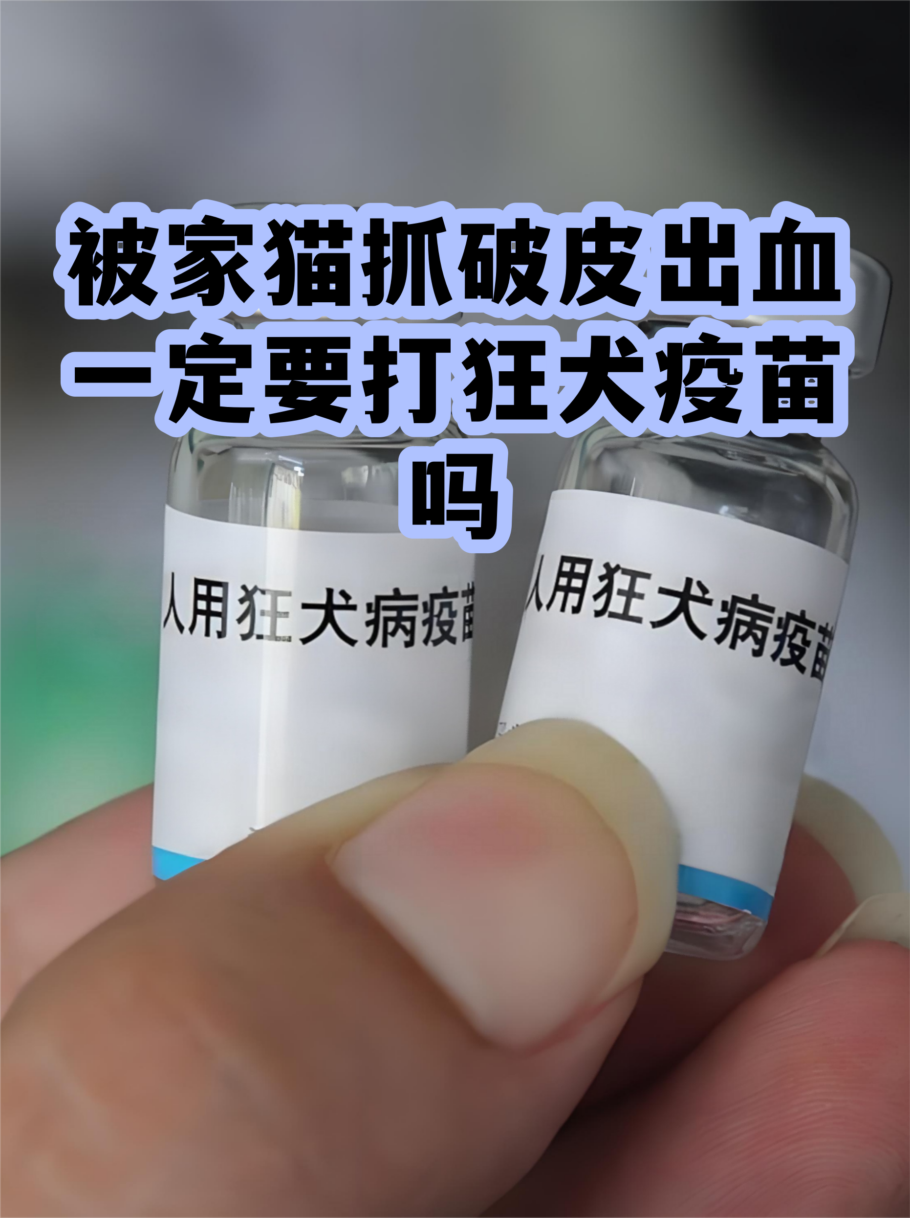 家养猫咪有狂犬病毒吗(家养猫有狂犬病的几率有多大)