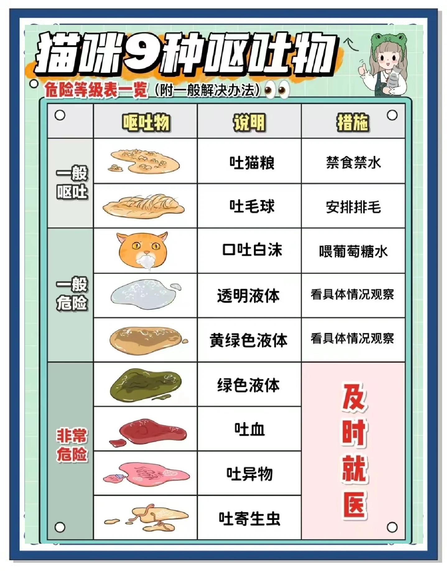 猫老吐什么原因是什么(猫老吐什么原因是什么引起的) 猫老吐什么原因是什么(猫老吐什么原因是什么引起的)