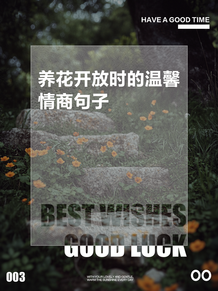 形容一个人养花养得好的句子(形容一个人养花养得好的句子有哪些)