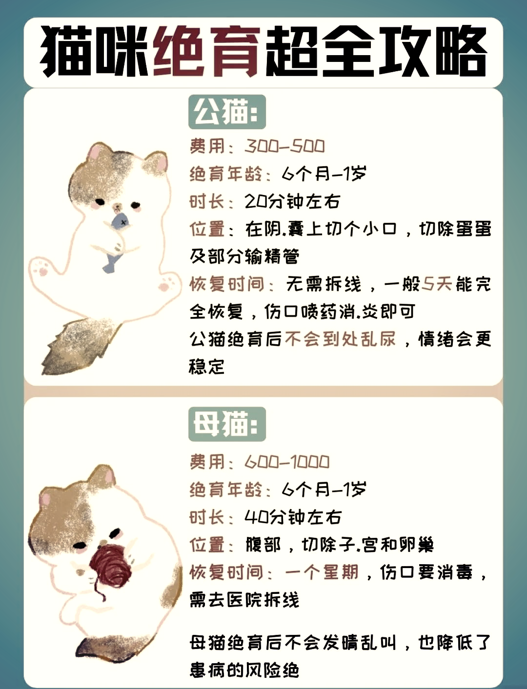 包含母猫一辈子不做绝育可以吗的词条 包含母猫一辈子不做绝育可以吗的词条