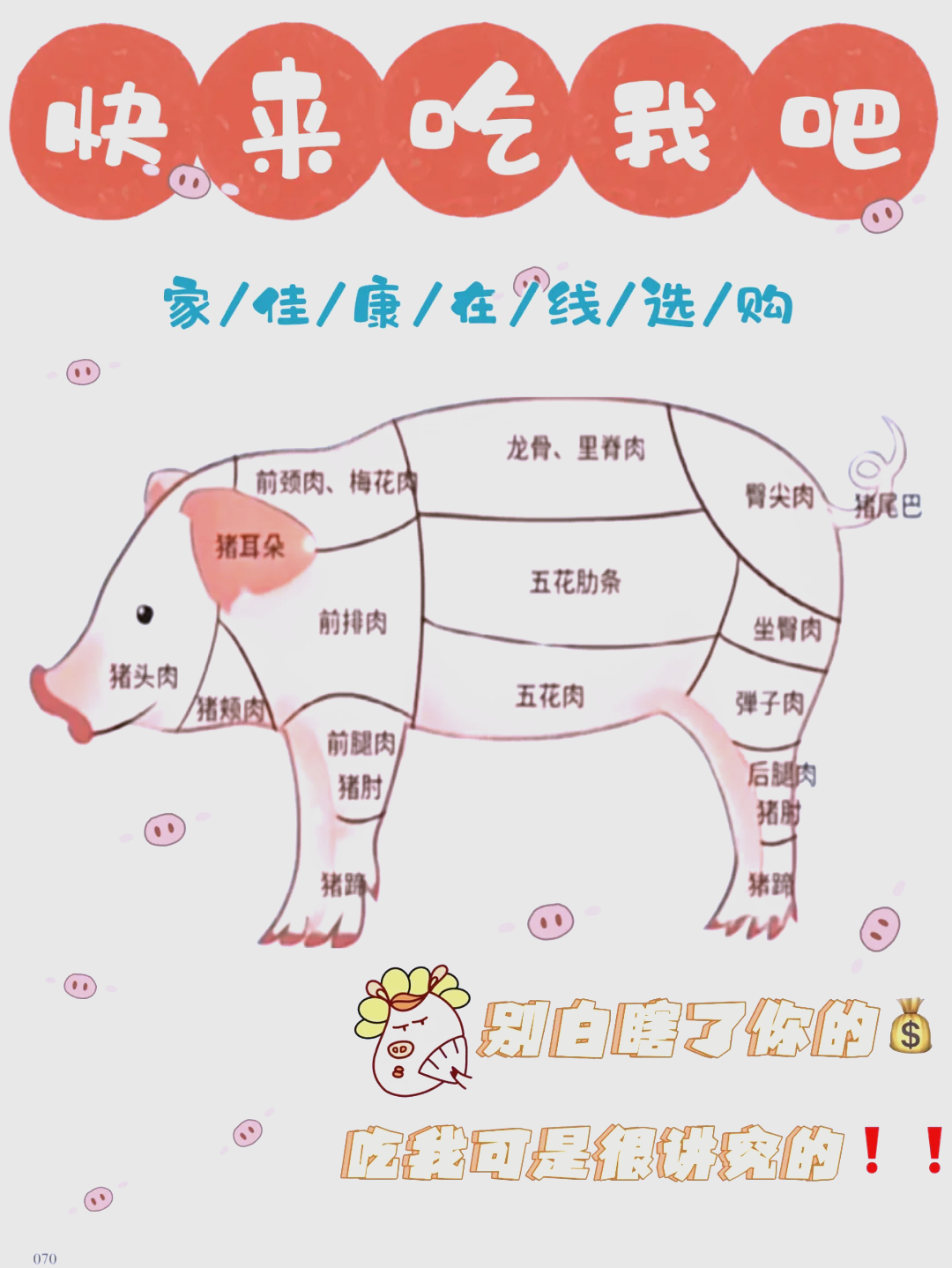 猪的别称(猪的别称大全) 猪的别称(猪的别称大全)