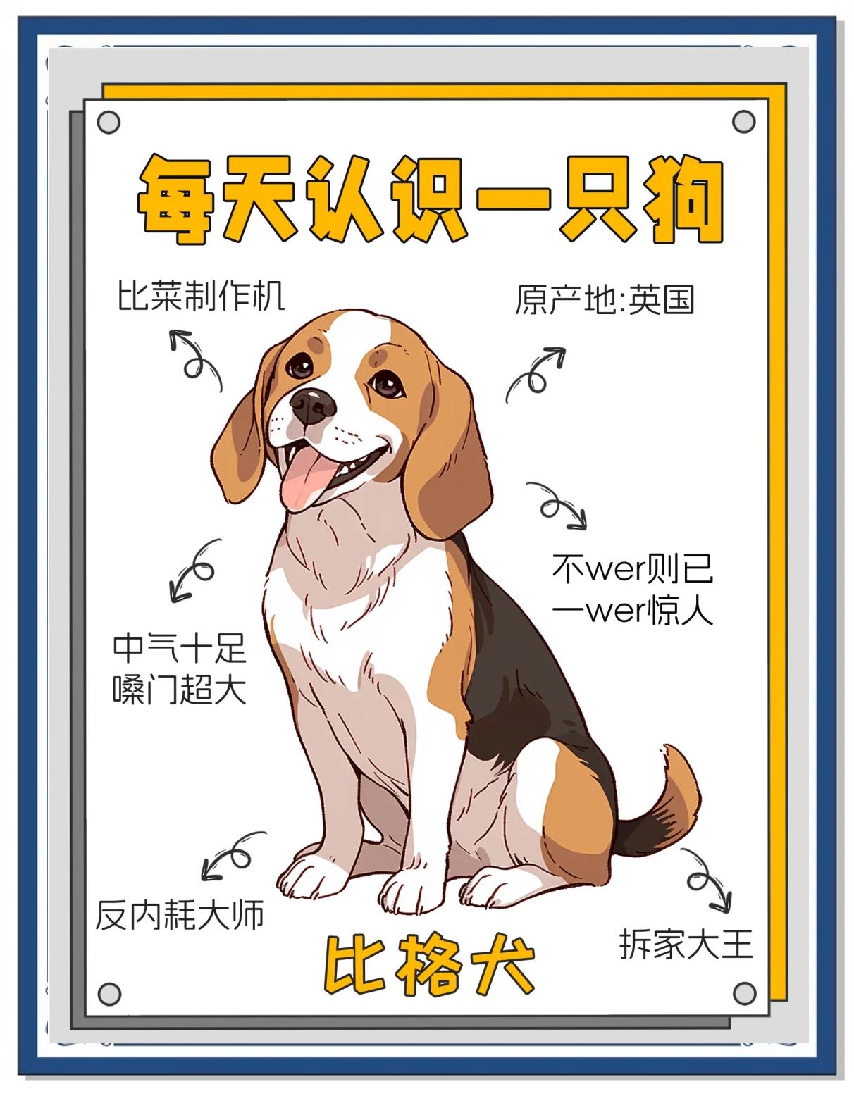 比格犬的优缺点及性格(比格犬的优缺点及性格一只多少钱)