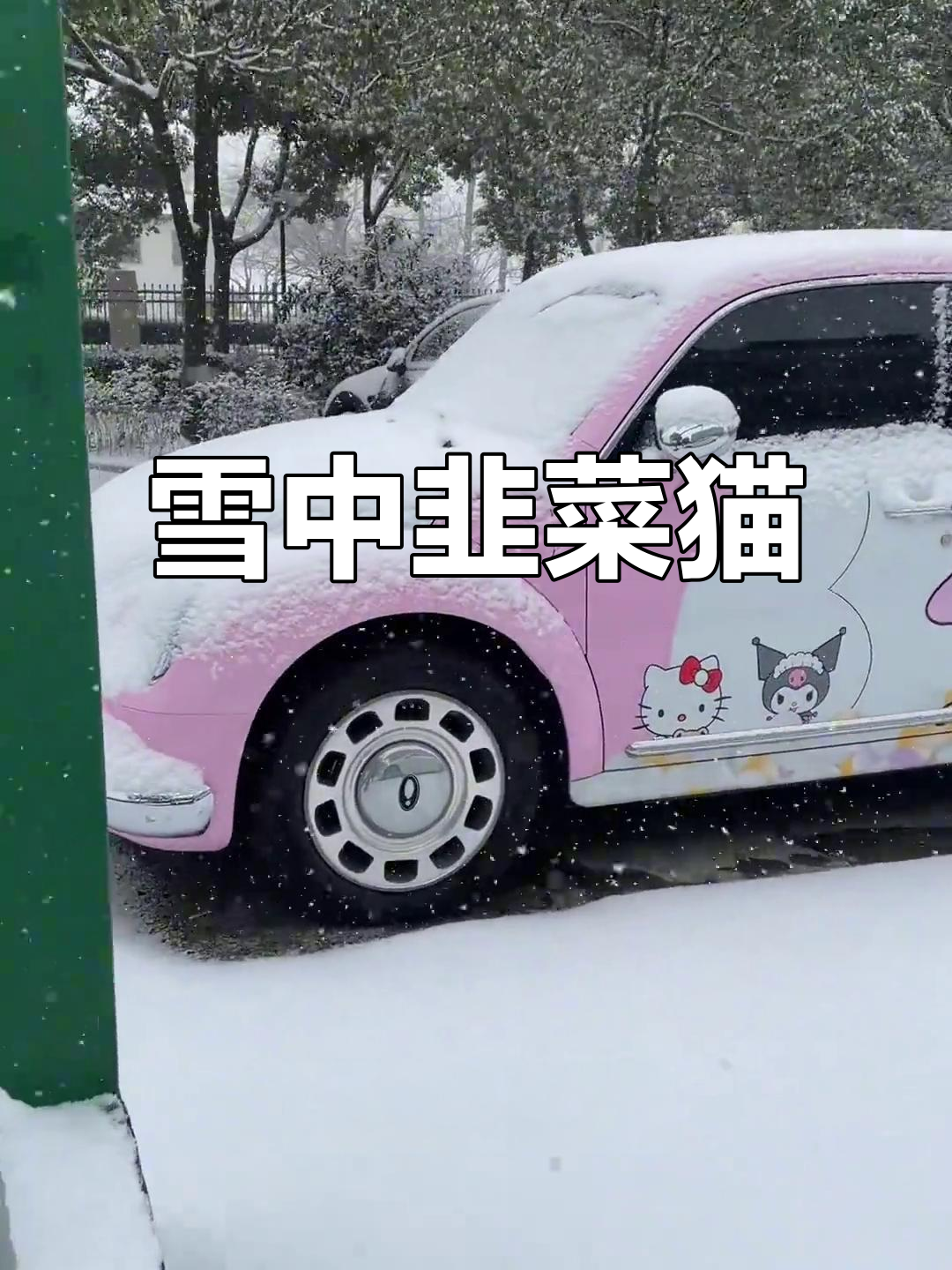 猫可以吃韭菜吗(猫能吃韭菜吗 知乎) 猫可以吃韭菜吗(猫能吃韭菜吗 知乎)