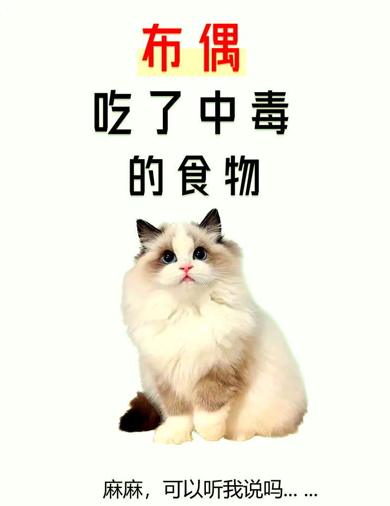 猫可以吃韭菜吗(猫能吃韭菜吗 知乎) 猫可以吃韭菜吗(猫能吃韭菜吗 知乎)