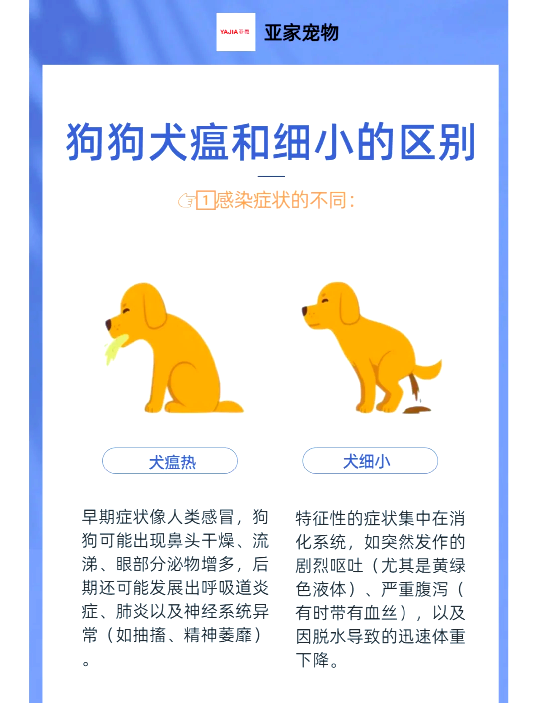 犬瘟第几天是最危险的(狗瘟30天没死,有抽搐) 犬瘟第几天是最危险的(狗瘟30天没死,有抽搐)