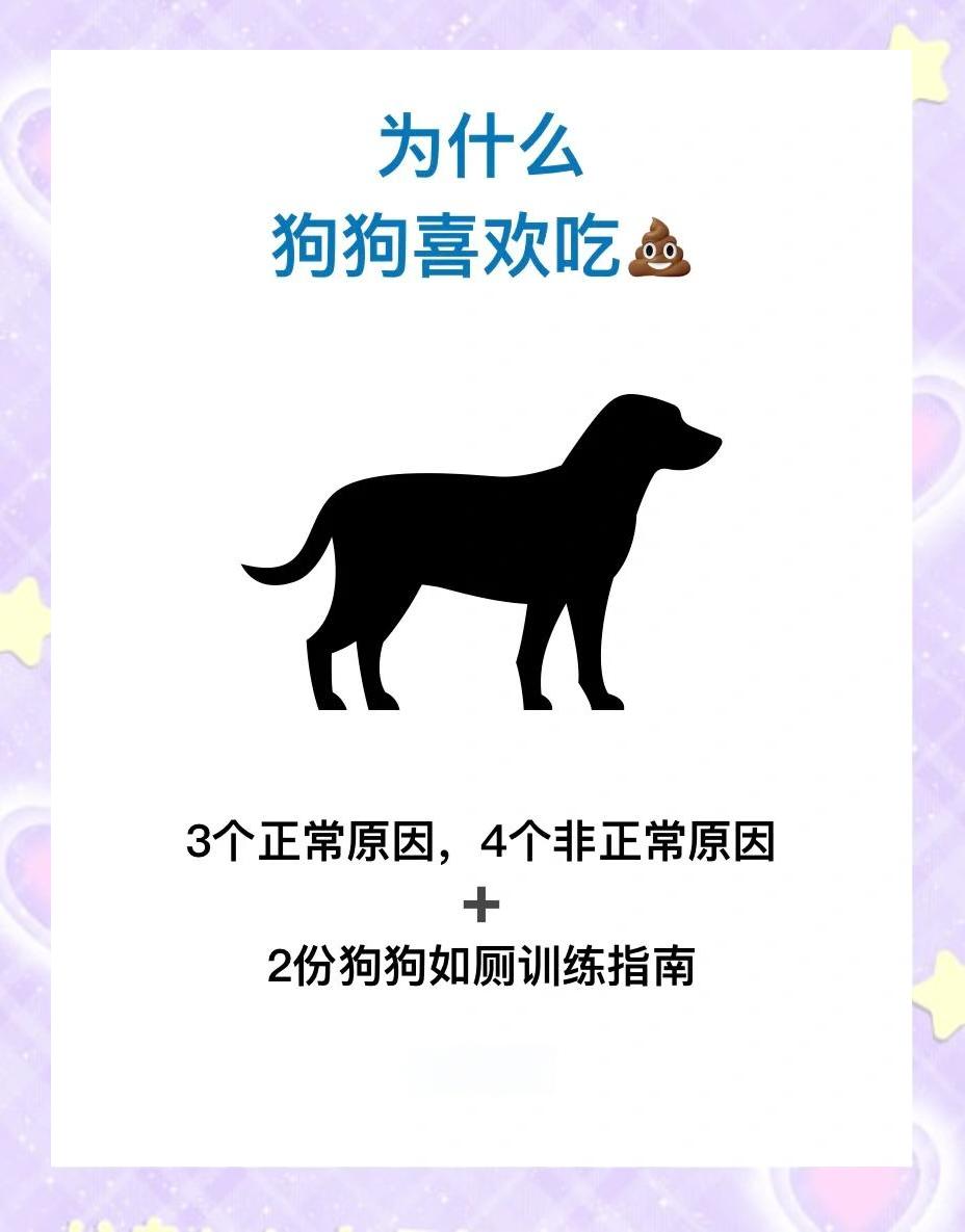 狗可以吃牛肉吗(柯基狗可以吃牛肉吗) 狗可以吃牛肉吗(柯基狗可以吃牛肉吗)