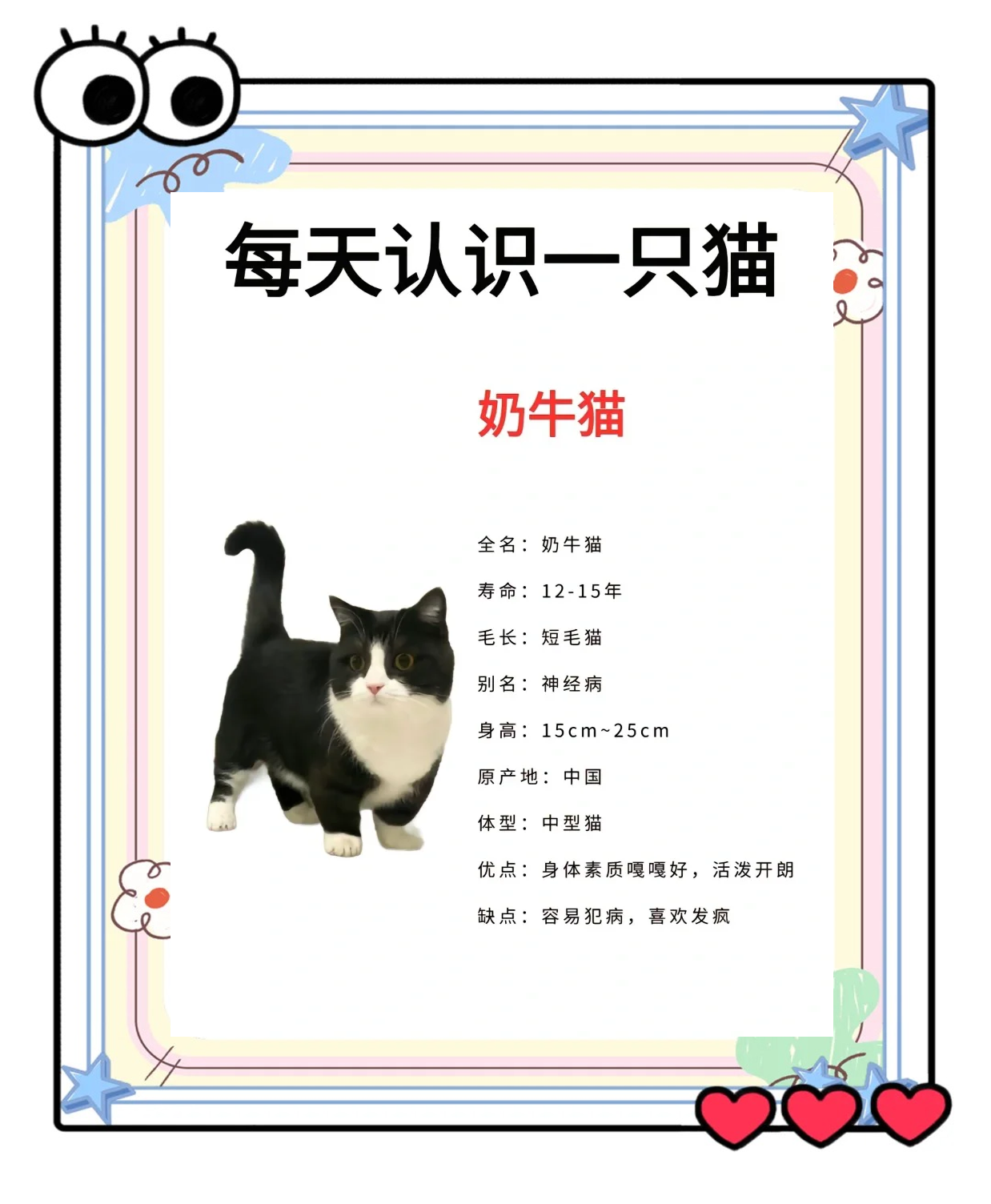 猫的特性和性格(猫的特性和性格小练笔怎么写) 猫的特性和性格(猫的特性和性格小练笔怎么写)