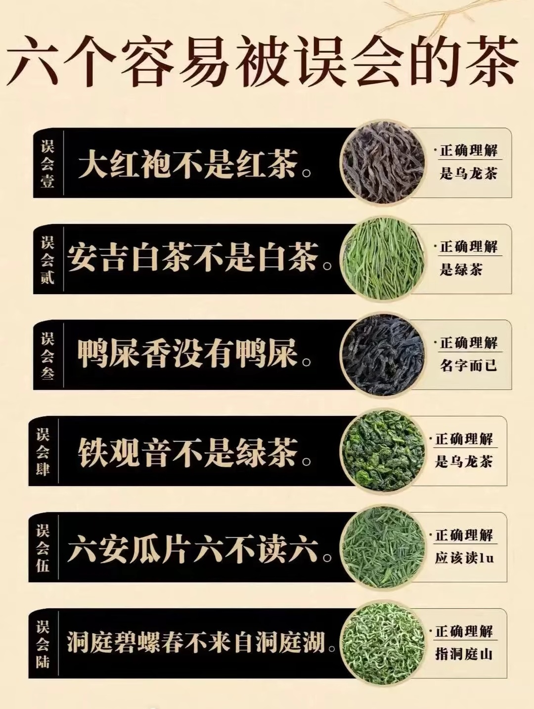铁观音属于什么茶种是红茶还是绿茶的简单介绍 铁观音属于什么茶种是红茶还是绿茶的简单介绍