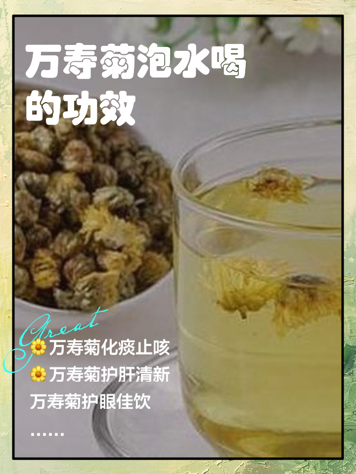 哺乳期能喝菊花泡水喝吗?(哺乳期能喝菊花泡水喝吗会回奶吗)