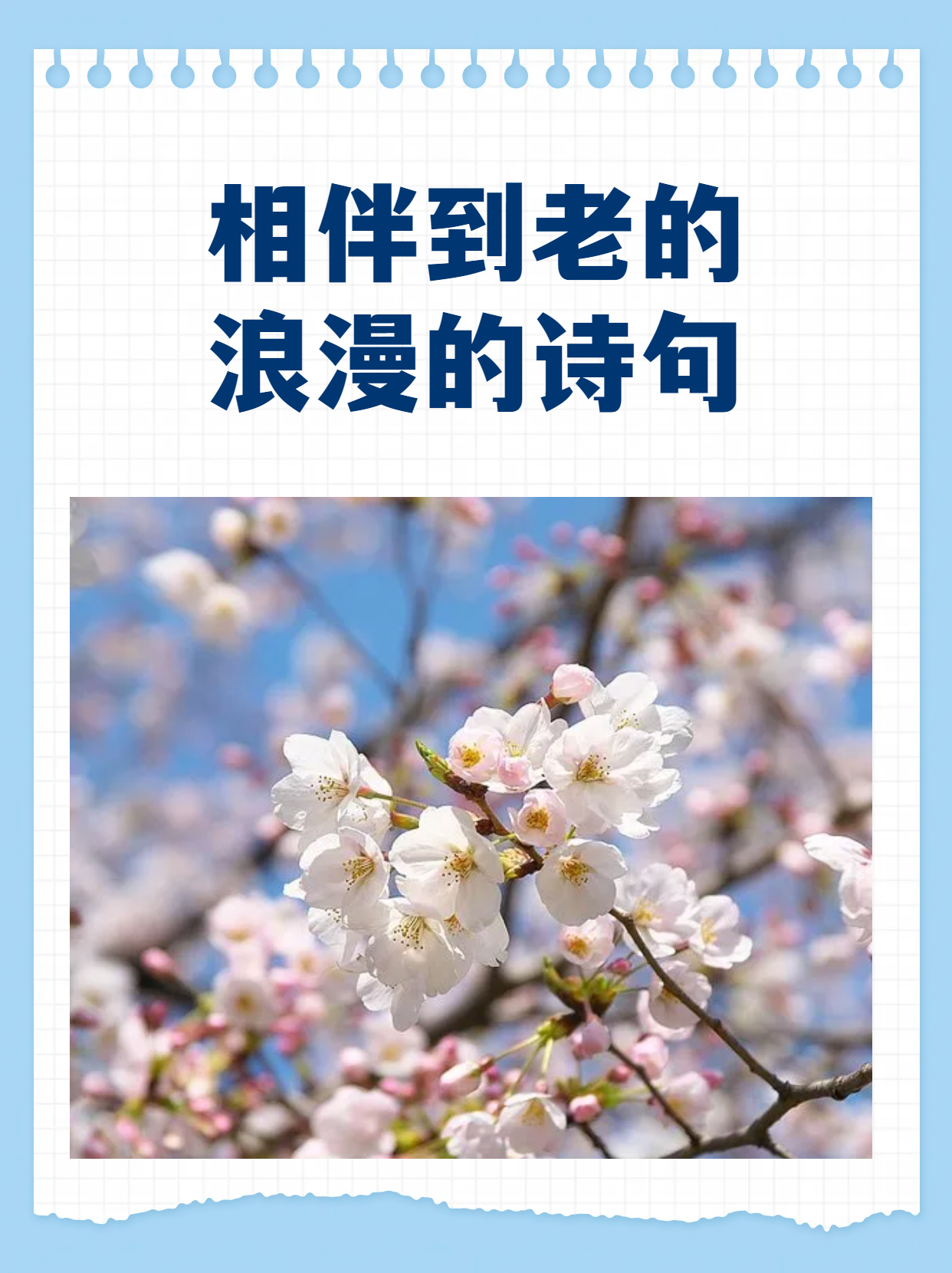 陪你到老的浪漫句子短句(陪你到老的浪漫句子短句图片) 陪你到老的浪漫句子短句(陪你到老的浪漫句子短句图片)